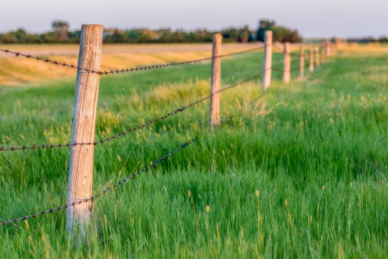 Barbed Wire Fence Installation detail
